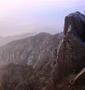 阿贾克斯主教练法里奥利