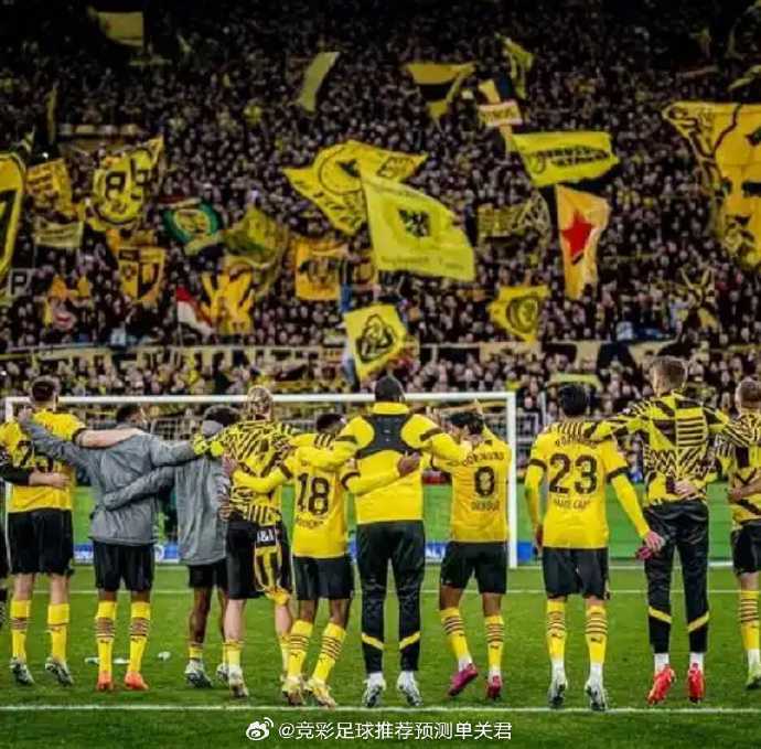 多特蒙德联赛冠军