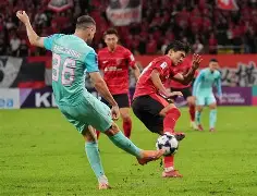 亚冠赛最新分析