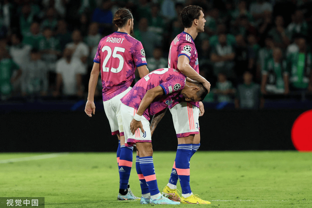 开云中国-第二次维也纳仲裁