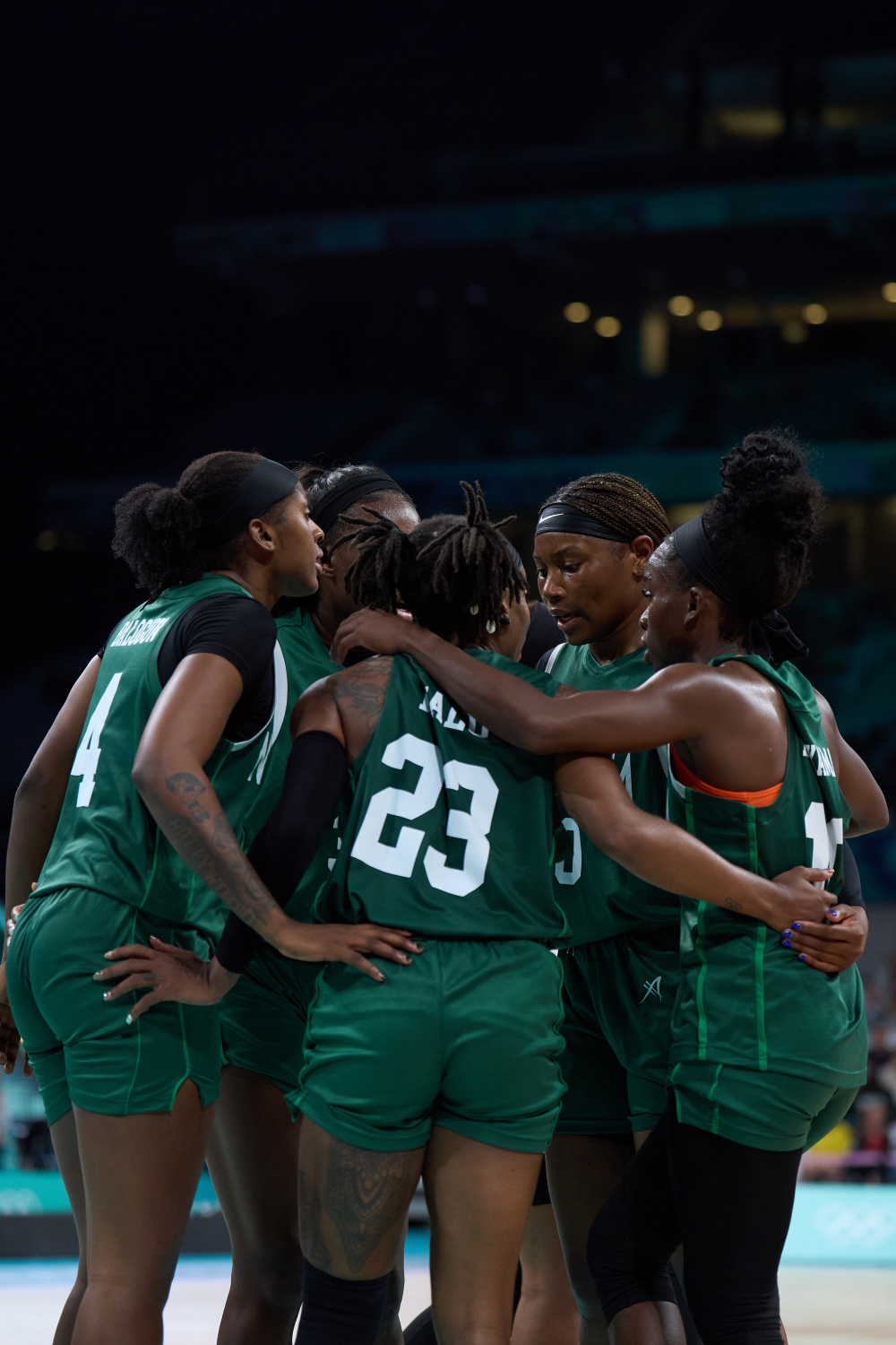 非洲杯尼日利亚直播